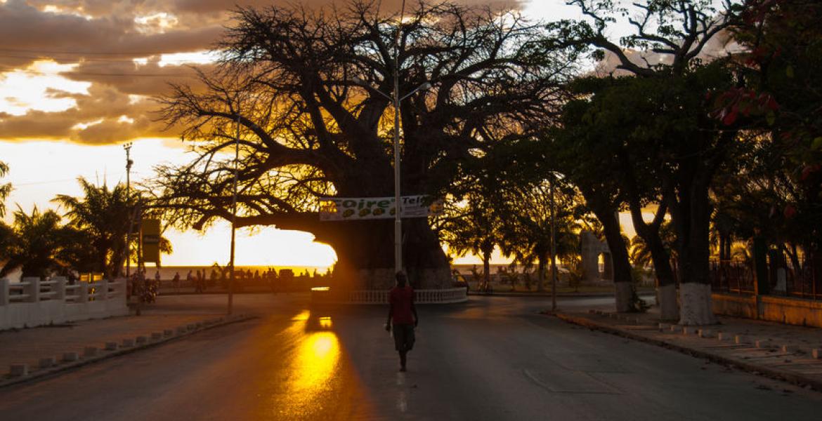 madagascar/majunga/5909db82e726d4c1bb1fd6077db6a6e2-36104909-m-103.jpg