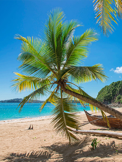 Madagascar est-elle une destination faite pour vous ?